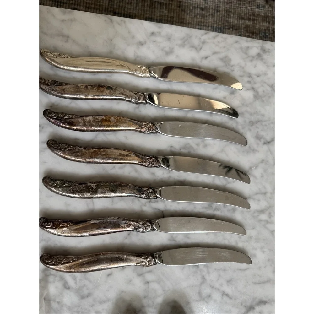 1847 Rogers Bros Vintage 1961 Silver Plate Leilani 43 Pc Flatware Set For 8 Read